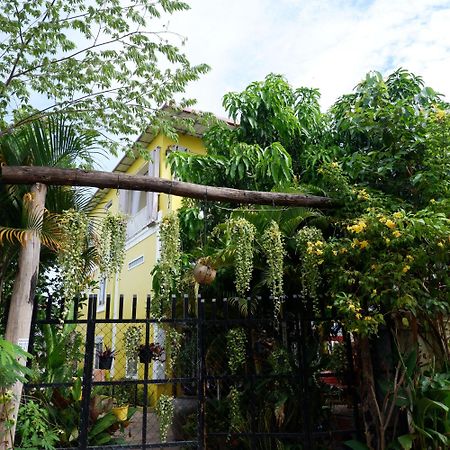Homestay Yellow Natural House Сием Реап Екстериор снимка