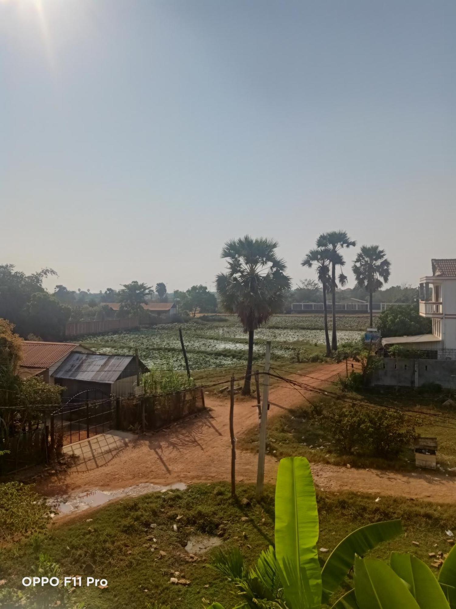 Homestay Yellow Natural House Сием Реап Екстериор снимка